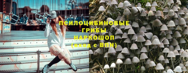 прущие грибы Медвежьегорск