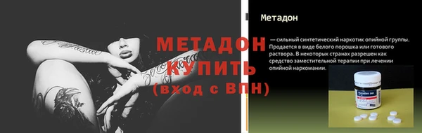 прущие грибы Медвежьегорск