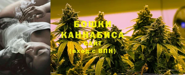 прущие грибы Медвежьегорск