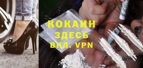 прущие грибы Медвежьегорск