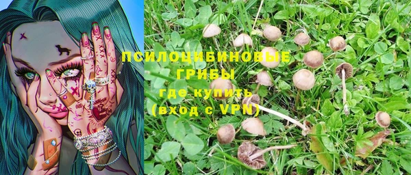 прущая мука Медногорск