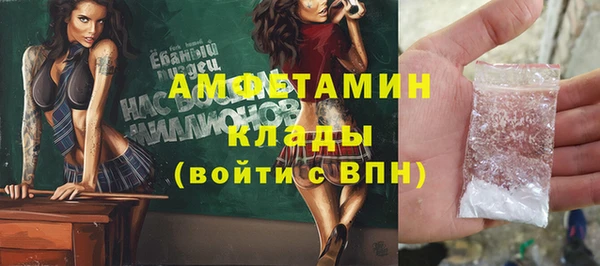 прущие грибы Медвежьегорск