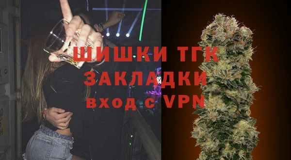 прущие грибы Медвежьегорск