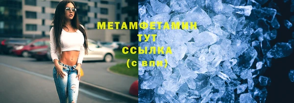 прущие грибы Медвежьегорск