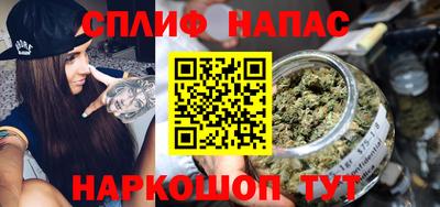 гидра Дубна