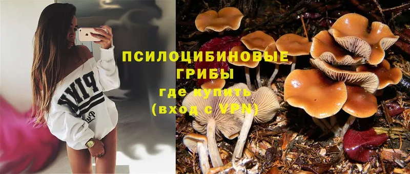 Галлюциногенные грибы MAGIC MUSHROOMS  Красногорск 