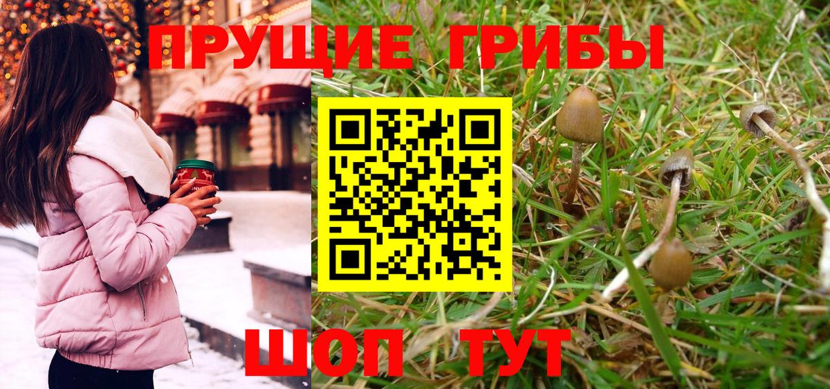 Галлюциногенные грибы GOLDEN TEACHER  Красногорск  Галлюциногенные грибы MAGIC MUSHROOMS 