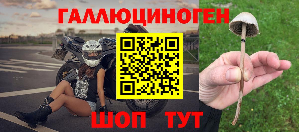 Красногорск  Псилоцибиновые грибы Magic Shrooms  Галлюциногенные грибы ЛСД  Вход с VPN 